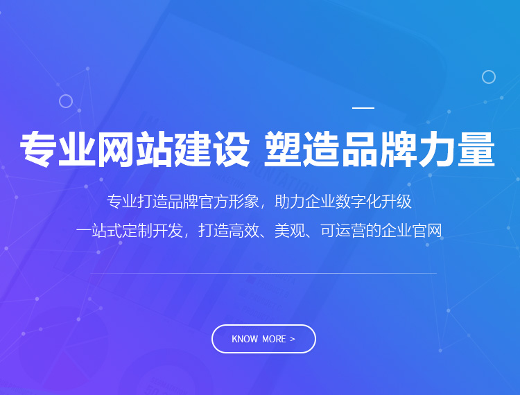 衡水建站-专业网站建设 塑造品牌力量